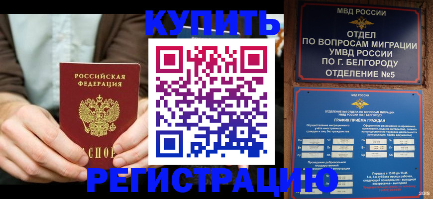 прописка 2025 в Московской области